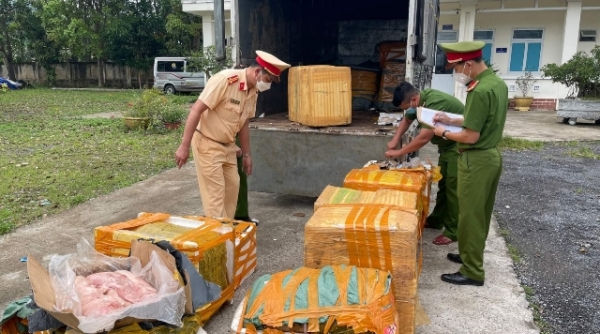 Phát hiện hơn 02 tấn nầm lợn bốc mùi hôi thối trên đường đi tiêu thụ tại Quảng Trị