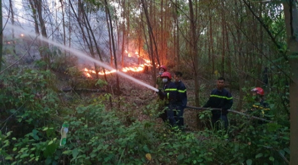 Từ tháng 07/2021 đến nay, thành phố Huế bị cháy hơn 33ha rừng
