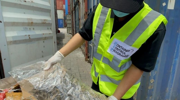 Hải quan TP. HCM phát hiện gần 700 kg cá ngựa khô, vảy tê tê cất giấu trong container vỏ ốc nhập khẩu