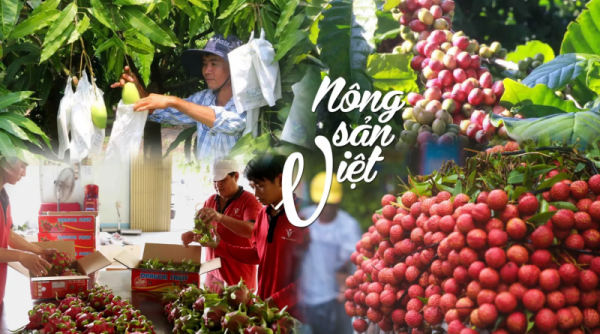 Tìm cách 'mở cửa' cho thị trường xuất khẩu trái cây Việt sang Mỹ, Nhật, Trung Quốc