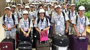 Tính đến tháng 06/2022, Việt Nam có 51.677 người đi lao động ở nước ngoài theo hợp đồng