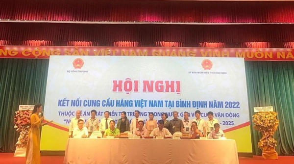 Kết nối cung cầu hàng Việt Nam cho các doanh nghiệp tại địa phương năm 2022