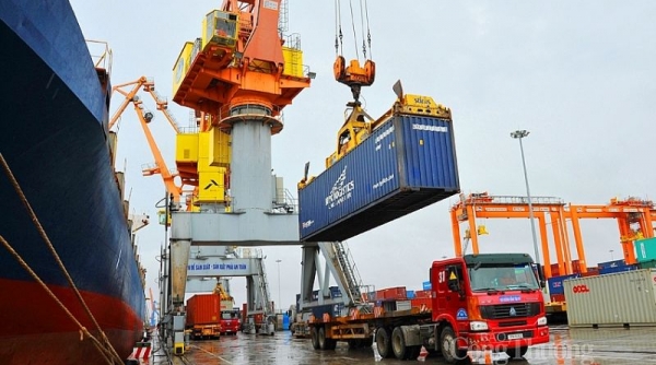 Tổng kim ngạch xuất khẩu của Việt Nam sang Nhật Bản đạt 11,38 tỷ USD