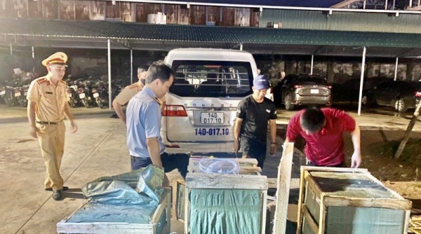 Lực lượng Quản lý thị trường Quảng Ninh phát hiện hơn 100 lít rượu ngoại nhập lậu