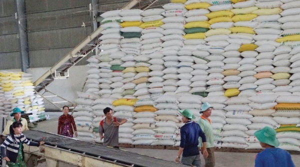 Dư địa cho gạo Việt Nam tại Anh và những điều doanh nghiệp cần lưu ý