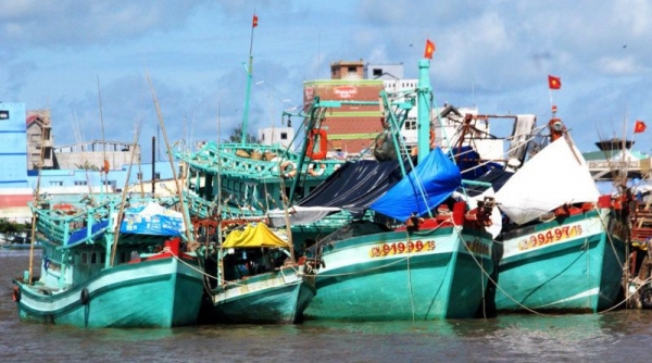 Cà Mau ngăn chặn và xử lý tình trạng khai thác thủy sản có tính chất hủy diệt nguồn lợi