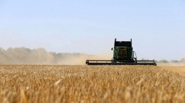 Đại diện Liên Hợp Quốc và Nga sẽ thảo luận về thỏa thuận xuất khẩu ngũ cốc