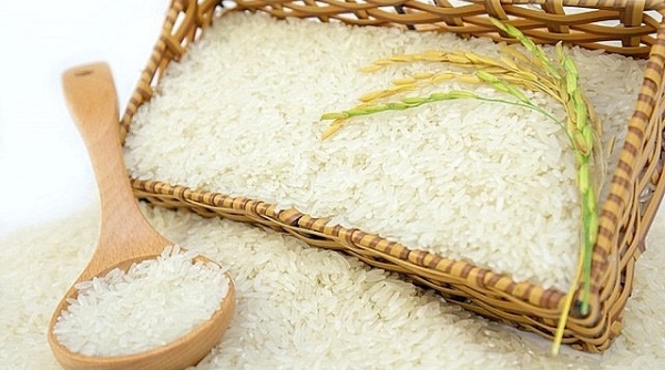 Nhu cầu thu mua lương thực tăng, năm 2023 giá gạo xuất khẩu dự báo vẫn ở mức cao