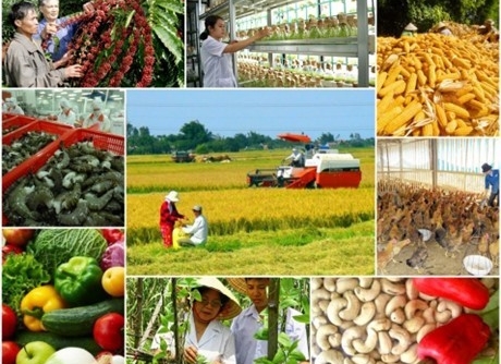 Năm 2023, ngành nông nghiệp đặt mục tiêu xuất khẩu 54 tỷ USD