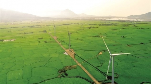 WIPO ra mắt Sách công nghệ xanh tập trung vào thích ứng với biến đổi khí hậu