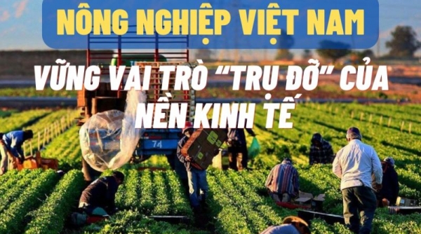 Ngành nông nghiệp vững vai trò ‘bệ đỡ’ của nền kinh tế