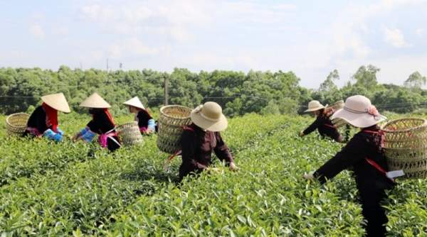 Quảng Ninh nâng cao đời sống nông dân theo tiêu chí “hạnh phúc”