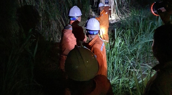 PC Quảng Ninh: Xuyên đêm khắc phục sự cố đường dây 110 kV do cháy rừng