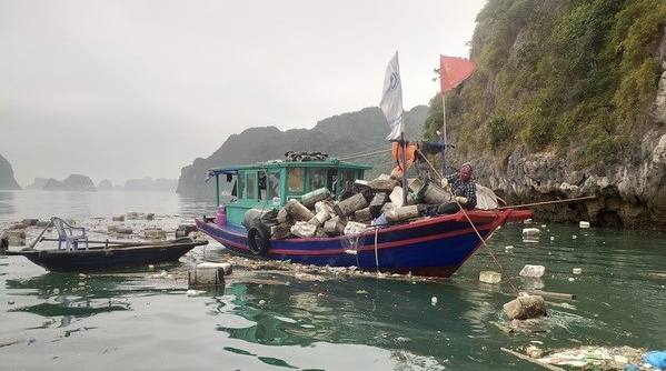 Quảng Ninh: Yêu cầu xử lý dứt điểm 8 cơ sở nuôi thủy sản trái phép trên vịnh Hạ Long