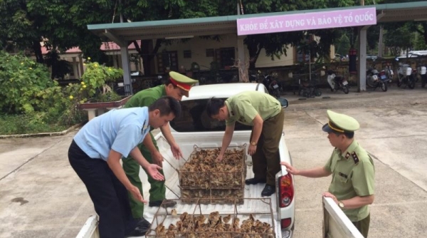 Long An: Tăng cường kiểm tra, ngăn chặn gia cầm, sản phẩm gia cầm qua biên giới