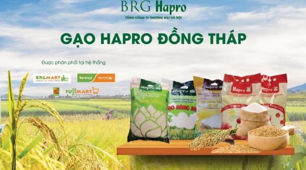 Gạo Hapro Đồng Tháp – Tự hào Thương hiệu quốc gia