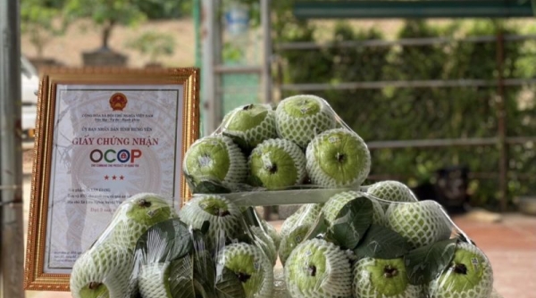 Huyện Văn Giang (Hưng Yên): Phấn đấu có thêm 4 sản phẩm được công nhận sản phẩm OCOP