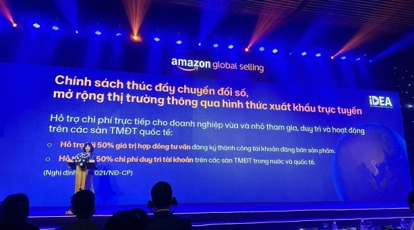 Gỡ khó cho doanh nghiệp xuất khẩu qua thương mại điện tử xuyên biên giới