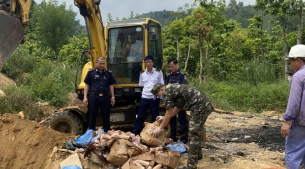 Hải quan Lào Cai tiêu hủy 300 kg chân lợn đông lạnh không rõ nguồn gốc
