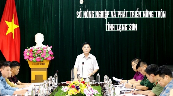 Lạng Sơn: Làm việc trực tuyến với Ban Chỉ đạo quốc gia về phòng chống thiên tai