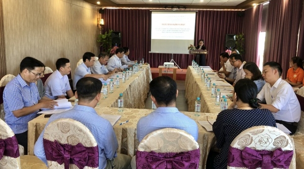 Bình Định: Hội thảo tham vấn về bảo vệ môi trường và ứng phó với biến đổi khi hậu khu vực miền Trung - Tây Nguyên