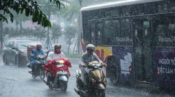 Dự báo mưa dông và mưa lớn cục bộ, lốc, sét, gió giật mạnh ở khu vực Bắc Bộ