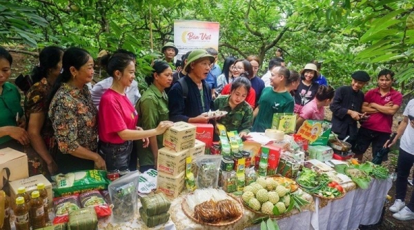 Thái Nguyên: Phát triển dự án liên kết sản xuất theo chuỗi giá trị lĩnh vực nông nghiệp
