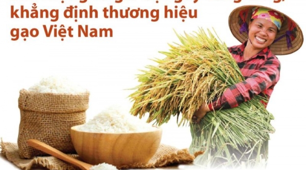 Giá lúa gạo hôm nay 25/10: Giá gạo tăng trở lại, Indonesia lại tăng mua gạo Việt Nam