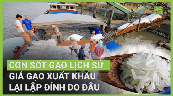 Giá gạo xuất khẩu Việt Nam cao nhất thế giới, nông dân đang hưởng lợi  