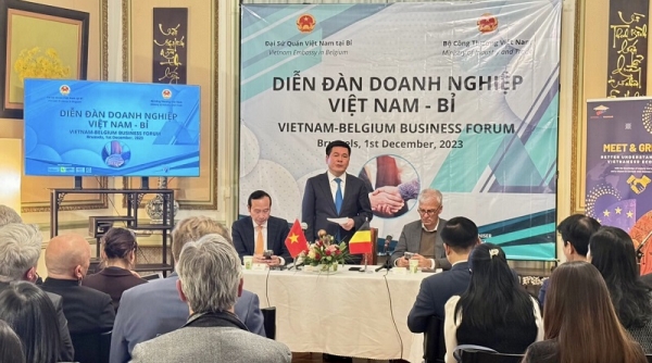 Tăng cường hợp tác kinh tế, thương mại Việt Nam - Bỉ