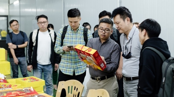Doanh nghiệp Trung Quốc khảo sát, đánh giá năng lực sản xuất sản phẩm từ tổ yến tại Thanh Hóa