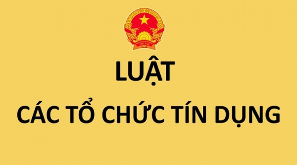 Luật Các tổ chức tín dụng (sửa đổi) quy định siết tỷ lệ sở hữu cổ phần của một nhóm cổ đông tại ngân hàng như thế nào?