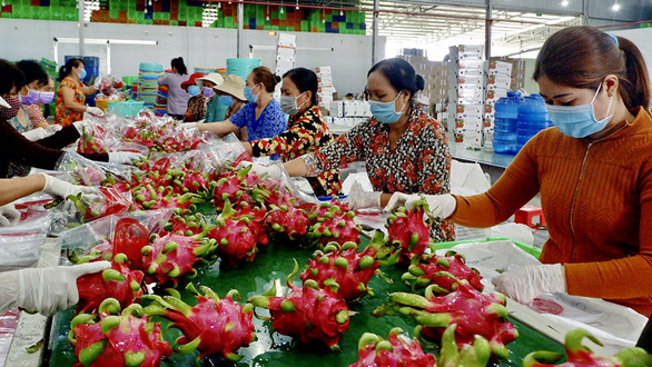 Giá trị xuất khẩu hoa quả tháng đầu năm 2024 tăng 112,1%