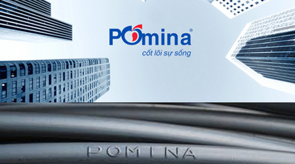 ĐHĐCĐ bất thường Thép Pomina (POM): Kỳ vọng đạt 15.000 tỷ đồng doanh thu