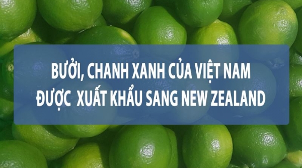 Việt Nam-New Zealand, hai nền kinh tế năng động, có nhiều tiềm năng hợp tác