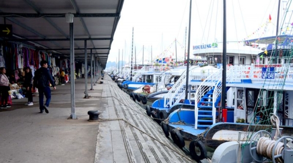 Quảng Ninh dừng tăng giá dịch vụ qua cảng tham quan vịnh Hạ Long