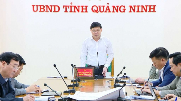 Quảng Ninh: Đẩy nhanh tiến độ giao mặt biển cho các tổ chức, cá nhân nuôi trồng thủy sản