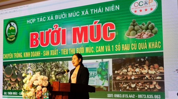 Phát động cuộc thi “Thách thức sáng kiến kinh doanh năm 2024"