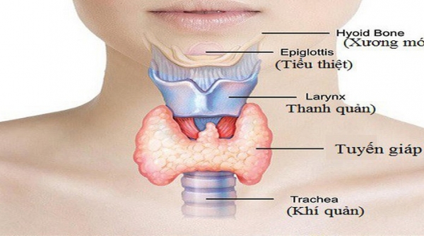 Thiếu hoặc thừa hormone tuyến giáp sẽ gây ra nhiều vấn đề cho sức khỏe