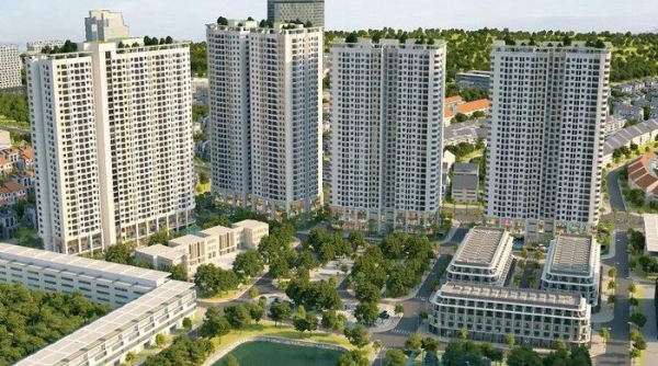 HTL Việt Nam: Lợi nhuận tăng gấp 22 lần, dư nợ trái phiếu ở mức 233 tỷ