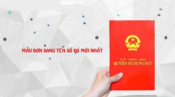 Mẫu sổ đỏ theo Luật Đất đai 2024 như thế nào?