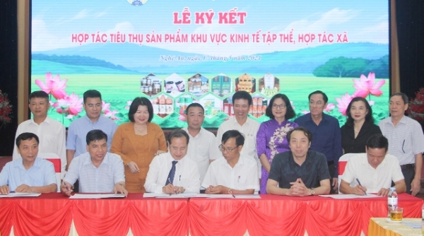 Thúc đẩy tiêu thụ sản phẩm trong khu vực kinh tế tập thể và hợp tác xã