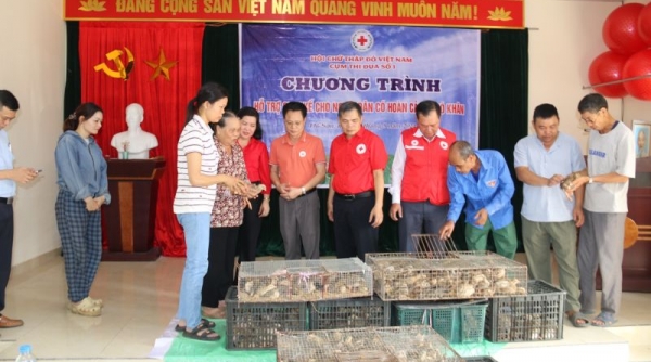 Trao hỗ trợ sinh kế cho một số hộ gia đình có hoàn cảnh khó khăn trên địa bàn quận Đồ Sơn