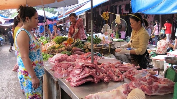 Giá lợn hơi tăng cao nhất trong hai năm qua, giải pháp nào bình ổn thị trường?