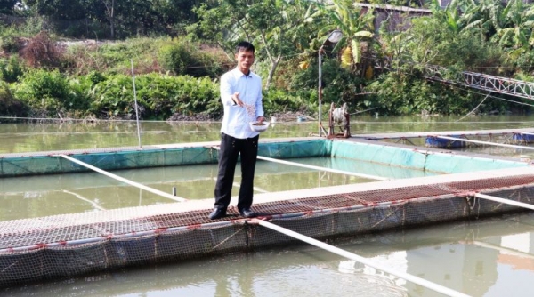 Bắc Ninh: Tăng cường công tác phòng, chống thiên tai trong mùa mưa bão cho sản xuất thủy sản