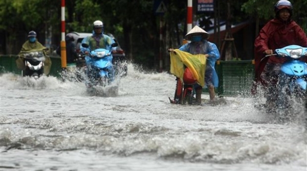 Chủ động ứng phó với mưa lớn kèm lốc, sét, mưa đá và gió giật mạnh