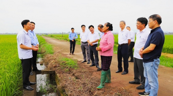 Khát vọng Supe Lâm Thao