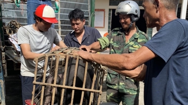 Bàn giao vật tư, con giống hỗ trợ cho các hộ nghèo tại Thanh Hóa