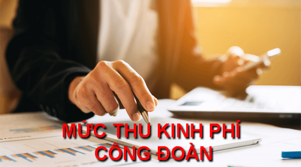 Nên giao cho Chính phủ thống nhất quy định về thu, quản lý, sử dụng nguồn tài chính công đoàn