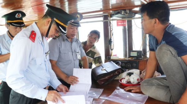 Quảng Ninh: Xử lý dứt điểm số lượng tàu cá "3 không" trong tháng Bẩy